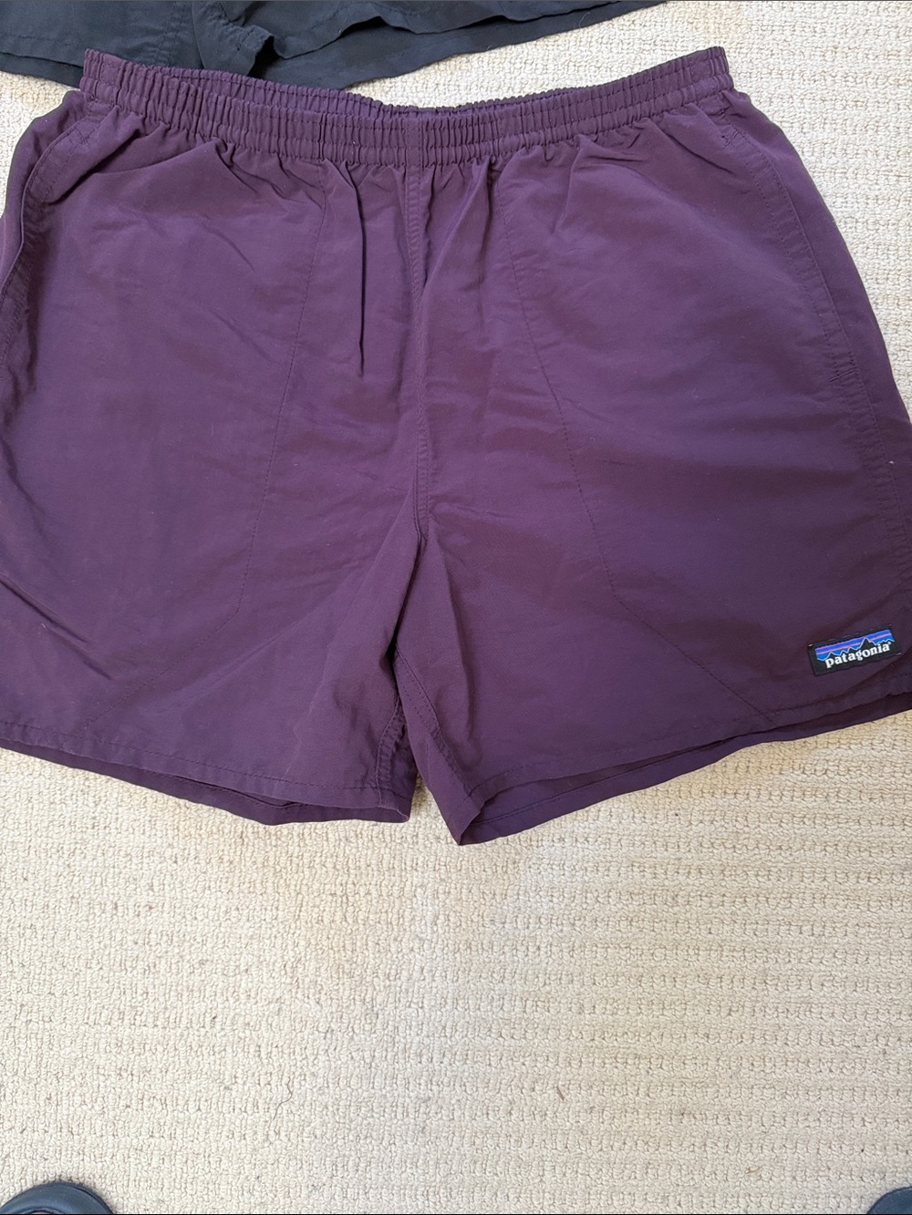 Patagonia Men’s Plum Athletic Shorts